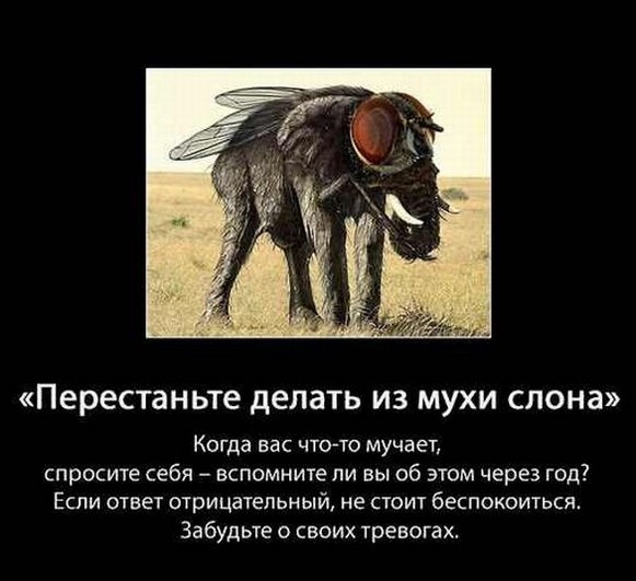 Перестань делать из мухи слона