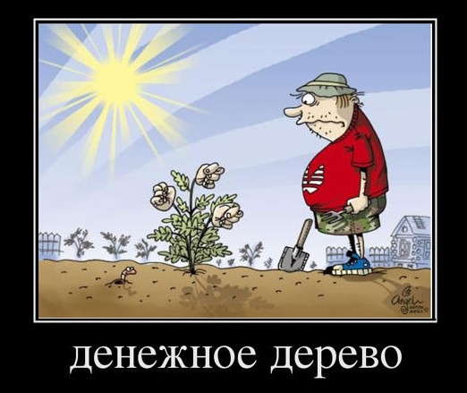 Полезные фото