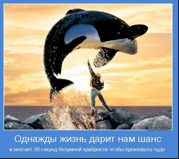 Однажды жизнь дарит наш шанс и хватает 20 секунд безумной храбрости