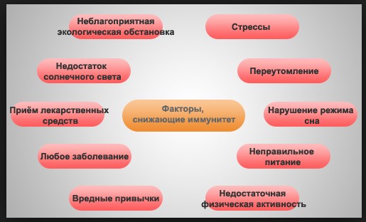 Как повысить иммунитет и работоспособность организма?
